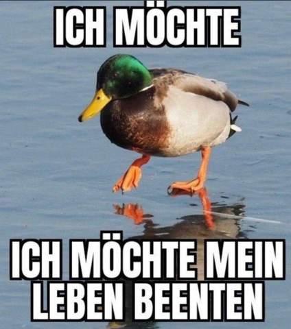 ICH MÖCHTE
ICH MÖCHTE MEIN
LEBEN BEENTEN