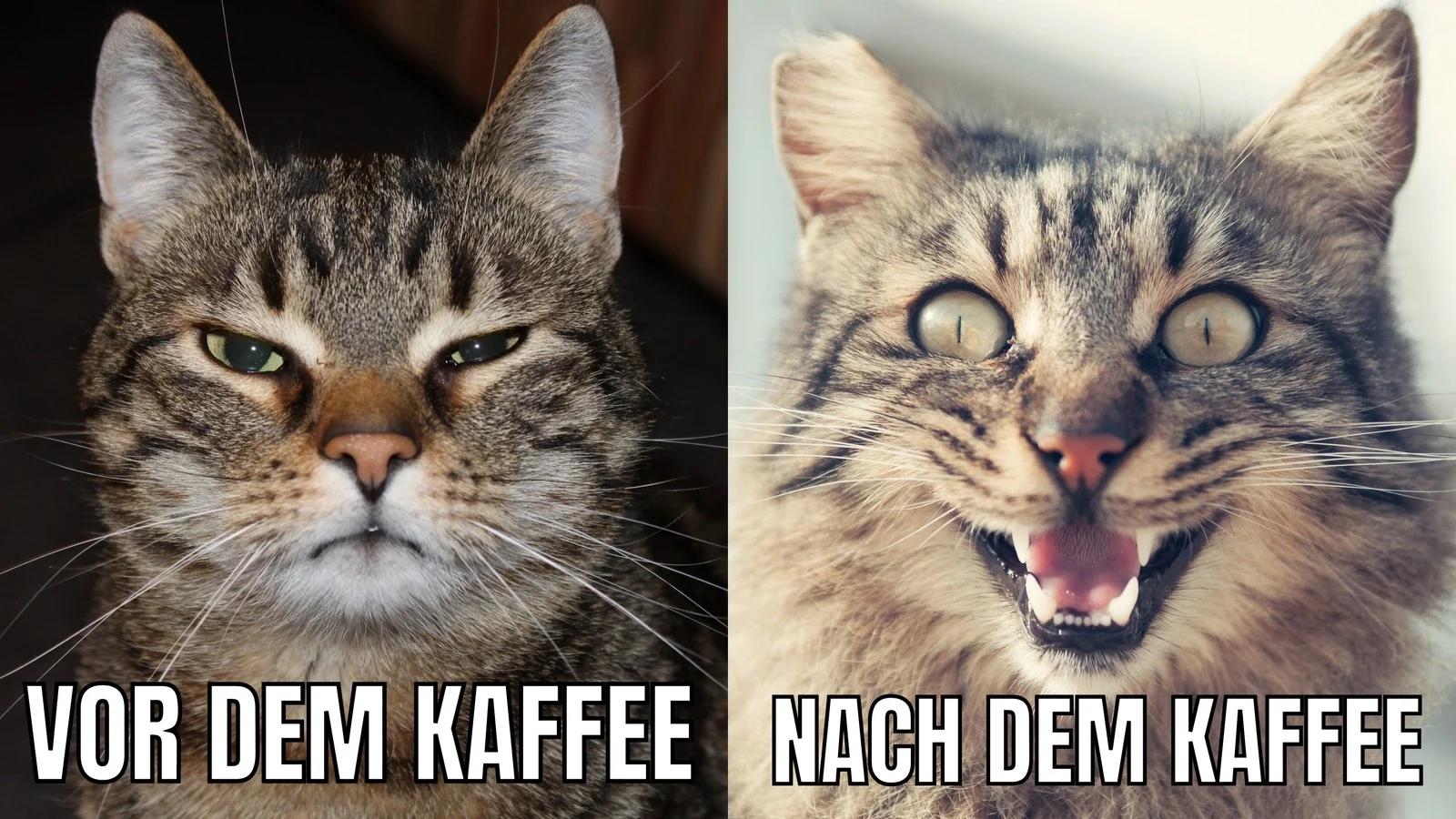 VOR DEM KAFFEE NACH DEM KAFFEE