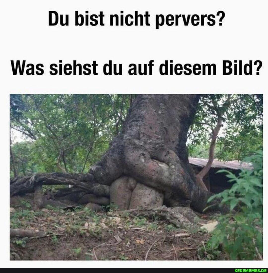 Du bist nicht pervers?
Was siehst du auf diesem Bild?
KEKEMEMES.DE