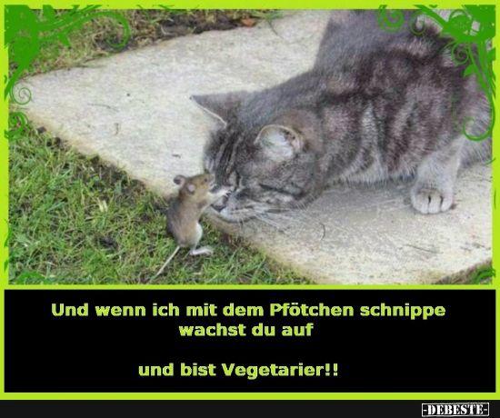 Und wenn ich mit dem Pfötchen schnippe
wachst du auf
und bist Vegetarier!!
-DEBESTE-