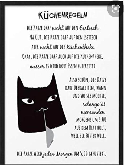 KÜCHENREGELN
DIE KATZE DARF nicht AUF DEN Esstisch.
NA GUT, DIE KATZE DARF AUF DEN ESSTISCH
ABER nicht AUF DIE Küchentheke.
OKAY, DIE KATZE DARF AUCH AUF DIE KÜCHENTHEKE,
ausser ES WIRD DORT ESSEN ZUBEREITET.
ALSO SCHÖN, DIE KATZE
DARF ÜBERALL HIN, WANN
UND WO SIE MÖCHTE,
solange SIE
niemanden
MORGENS UM 5.00
AUS DEM BETT HOLT,
WEIL SIE FUTTER WILL.
DIE KATZE WIRD jeden Morgen UM 5.00 GEFÜTTERT.