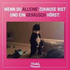 Eine Katze steht auf zwei Beinen und sieht verdächtig nach links. Der Text des Memes lautet: "Wenn du alleine zuhause bist und ein Geräusch hörst:".