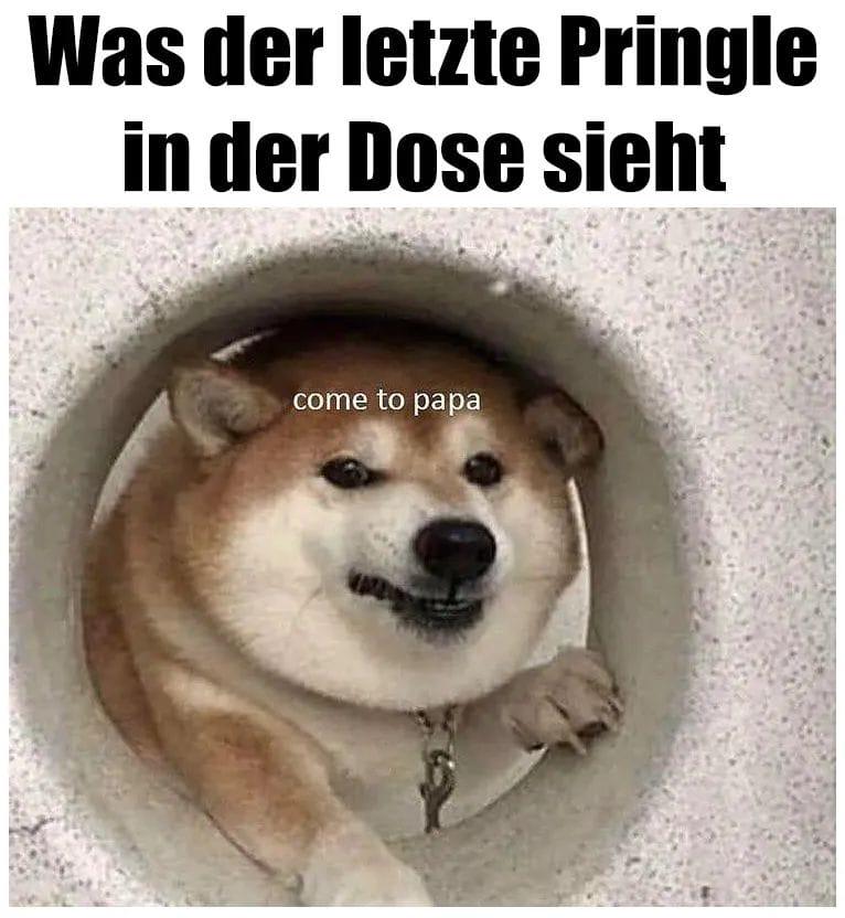 Was der letzte Pringle
in der Dose sieht
come to papa