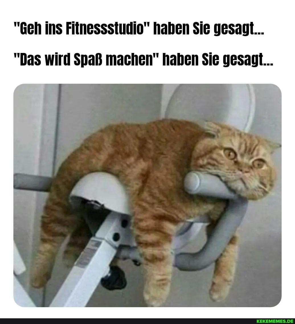 "Geh ins Fitnessstudio" haben Sie gesagt...
"Das wird Spaß machen" haben Sie gesagt...
KEKEMEMES.DE