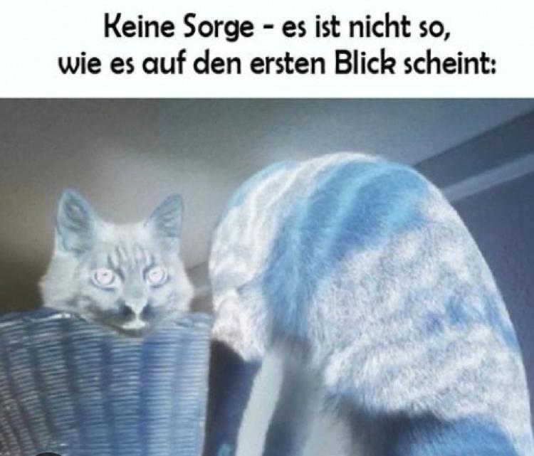 Keine Sorge - es ist nicht so,
wie es auf den ersten Blick scheint: