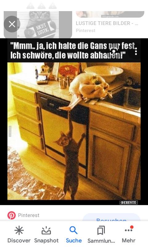 X
NICHT
LUSTIG
LUSTIGE TIERE BILDER -
Pinterest
"Mmm.. ja, ich halte die Gans pur fest.
Ich schwöre, die wollte abhauen!" :
Pinterest
-DEBESTE
Racuchon
Q
Discover Snapshot Suche Sammlun... Mehr