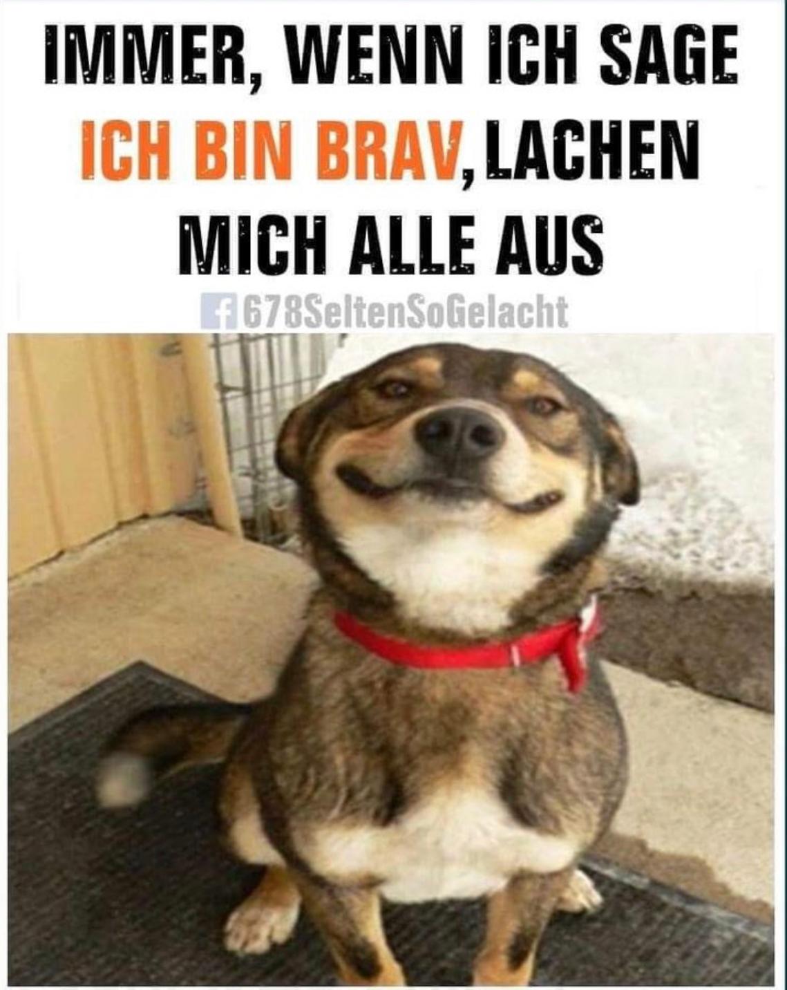 IMMER, WENN ICH SAGE
ICH BIN BRAV, LACHEN
MICH ALLE AUS
f678SeltenSoGelacht