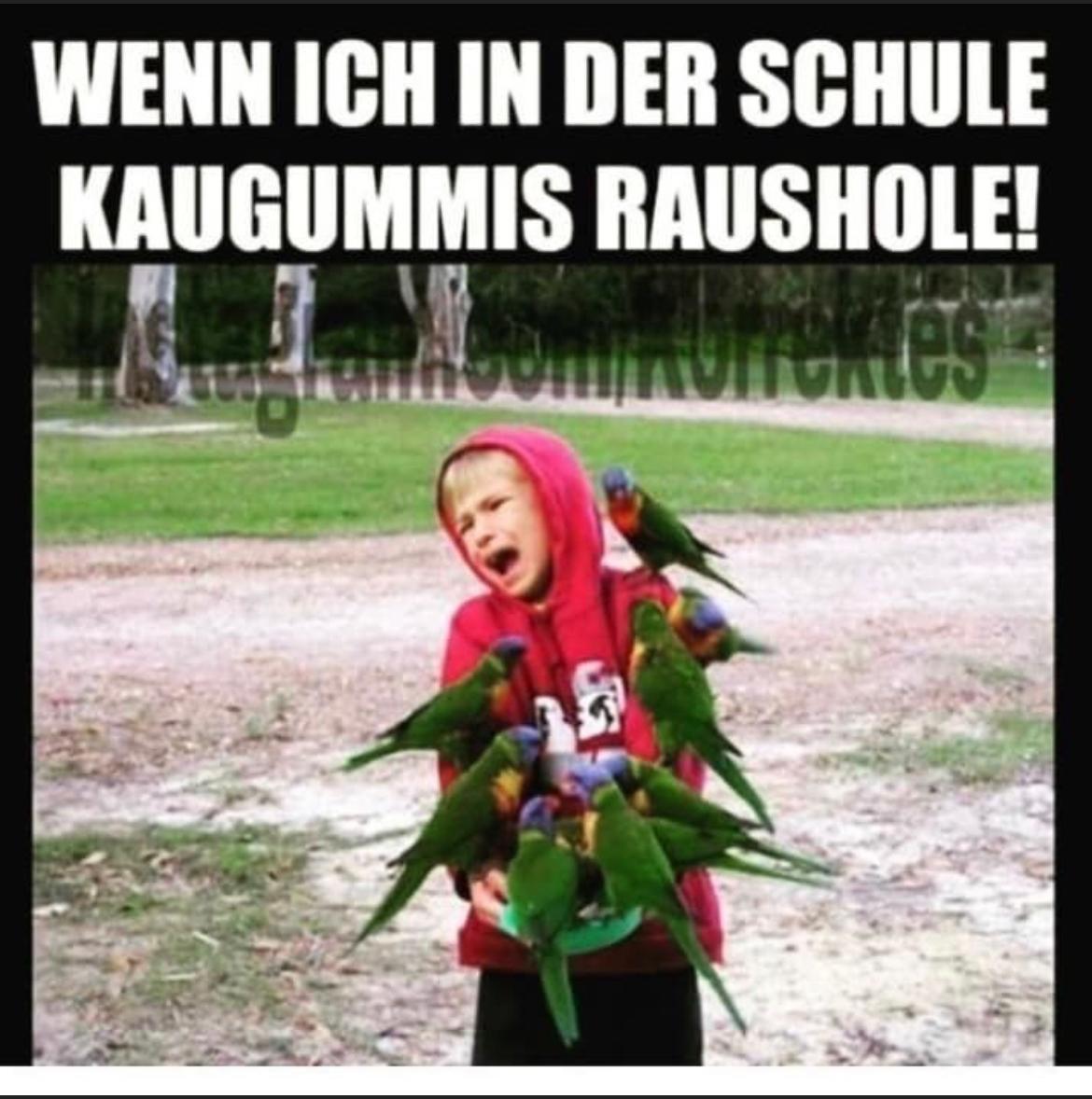 WENN ICH IN DER SCHULE
KAUGUMMIS RAUSHOLE!
rentes