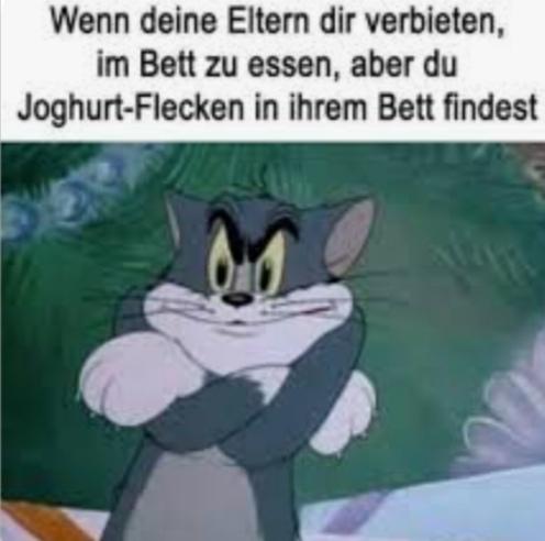 Wenn deine Eltern dir verbieten,
im Bett zu essen, aber du
Joghurt-Flecken in ihrem Bett findest