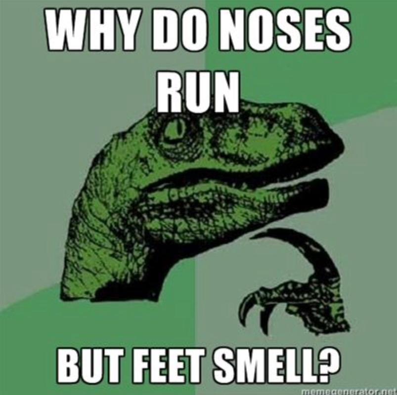 WHY DO NOSES
RUN
03
CELE
BUT FEET SMELL?
memegenerator.net