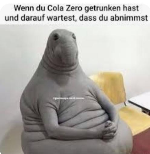 Wenn du Cola Zero getrunken hast
und darauf wartest, dass du abnimmst