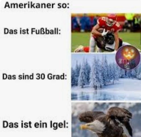 Amerikaner so:
Das ist Fußball:
Das sind 30 Grad:
Das ist ein Igel: