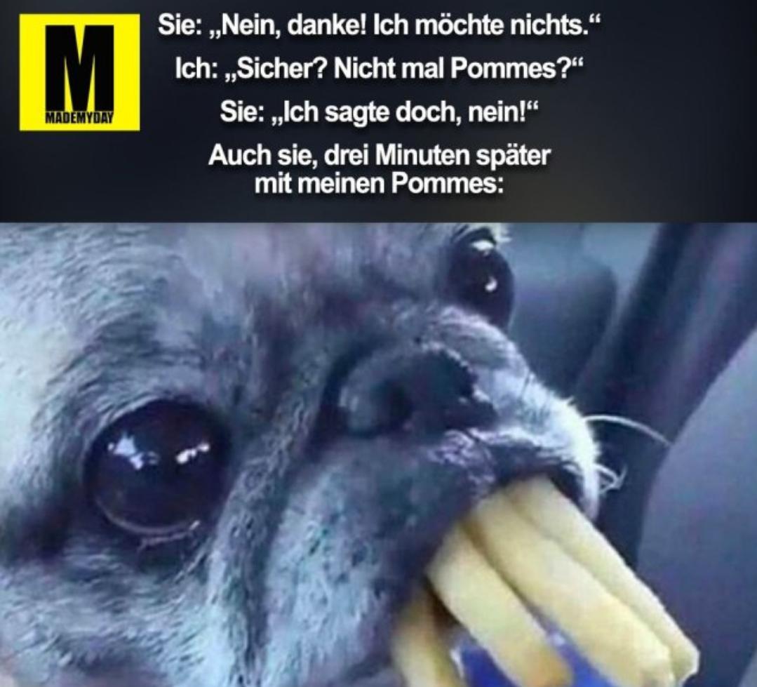 MADEMYDAY
Sie: ,,Nein, danke! Ich möchte nichts."
Ich: ,,Sicher? Nicht mal Pommes?"
Sie: ,,Ich sagte doch, nein!"
Auch sie, drei Minuten später
mit meinen Pommes: