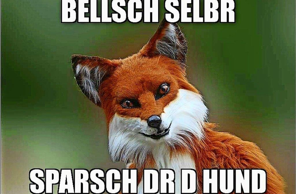 BELLSCH SELBR
SPARSCH DR D HUND