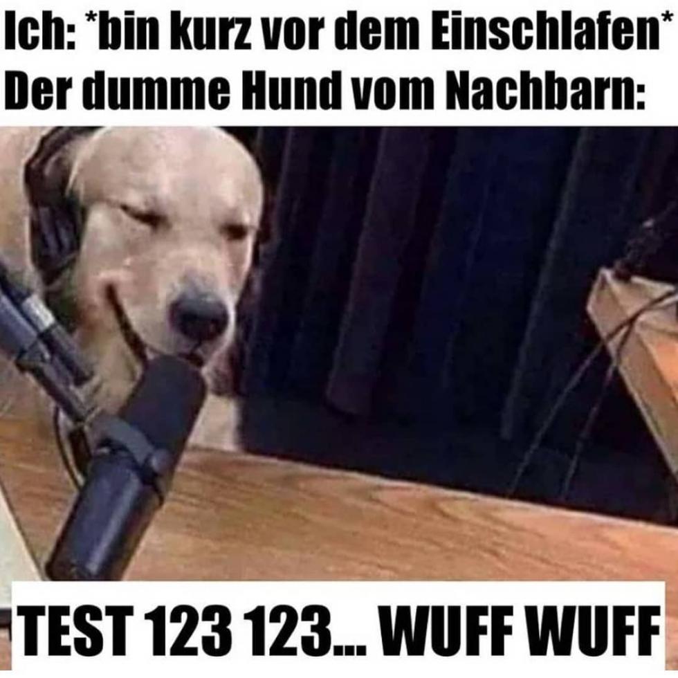 Ich: *bin kurz vor dem Einschlafen*
Der dumme Hund vom Nachbarn:
TEST 123 123... WUFF WUFF