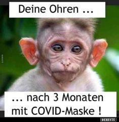 Deine Ohren ...
... nach 3 Monaten
mit COVID-Maske !
EDERESTE