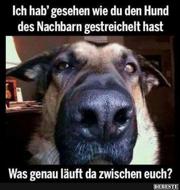 Ich hab'
gesehen wie du den Hund
des Nachbarn gestreichelt hast
Was genau läuft da zwischen euch?
DEBESTE