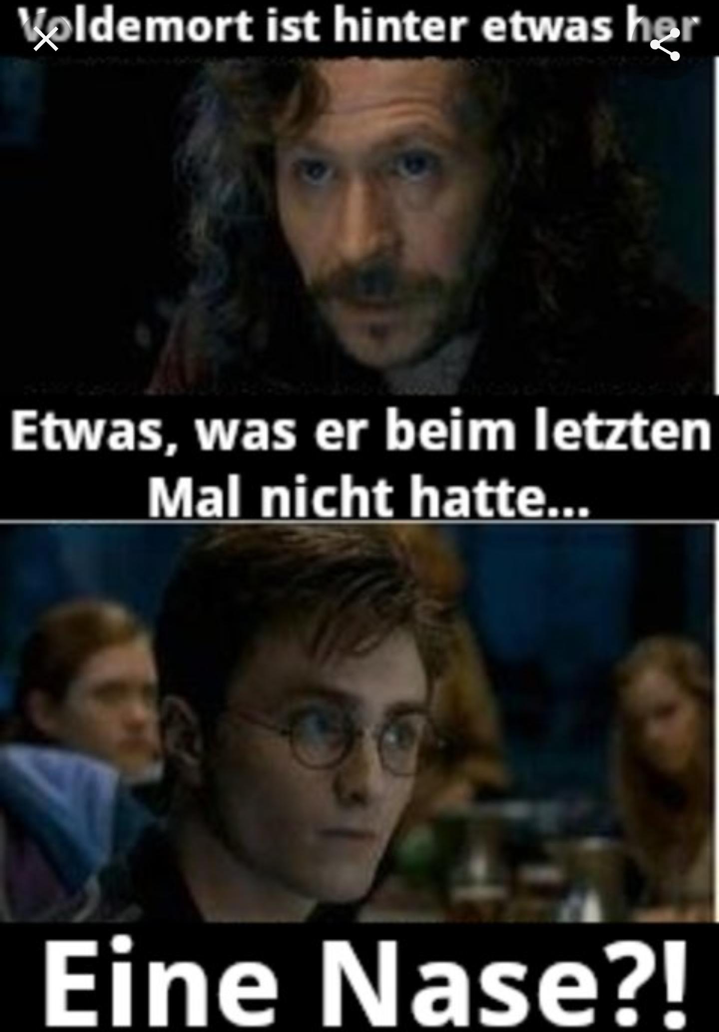 Voldemort ist hinter etwas her
Etwas, was er beim letzten
Mal nicht hatte...
Eine Nase?!