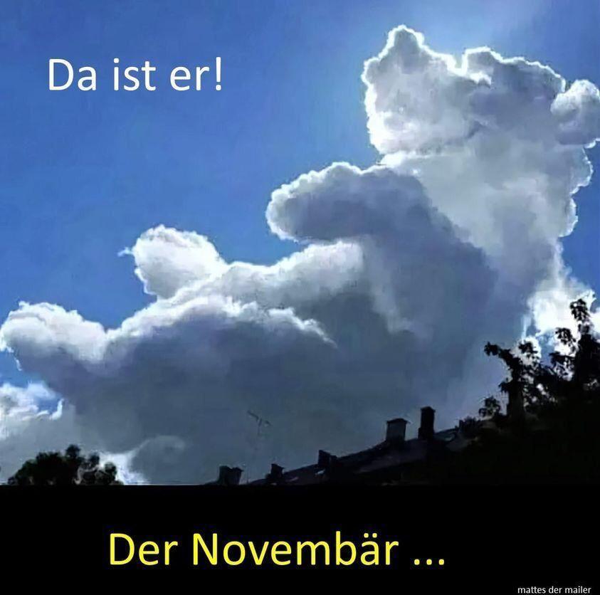 Da ist er!
Der Novembär ...
mattes der mailer