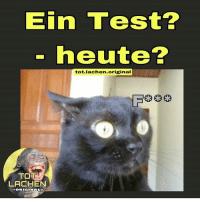 Ein Test?
- heute?
tot lachen.original
TOTY
LACHEN
Fooo