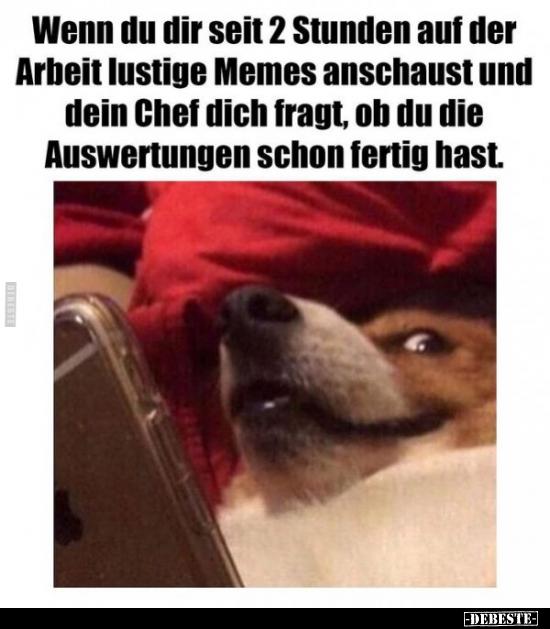 Wenn du dir seit 2 Stunden auf der
Arbeit lustige Memes anschaust und
dein Chef dich fragt, ob du die
Auswertungen schon fertig hast.
-DEBESTE-