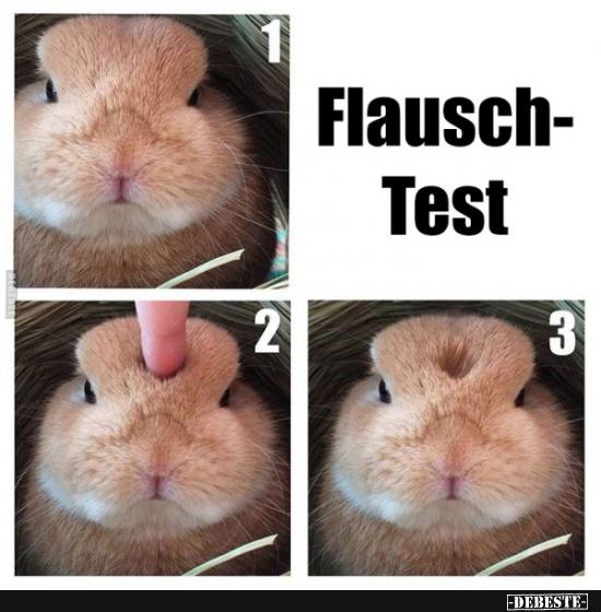 1
2
Flausch-
Test
3
-DEBESTE-