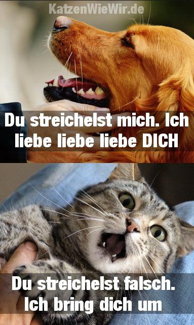 KatzenWieWir.de
Du streichelst mich. Ich
liebe liebe liebe DICH
Du streichelst falsch.
Ich bring dich um