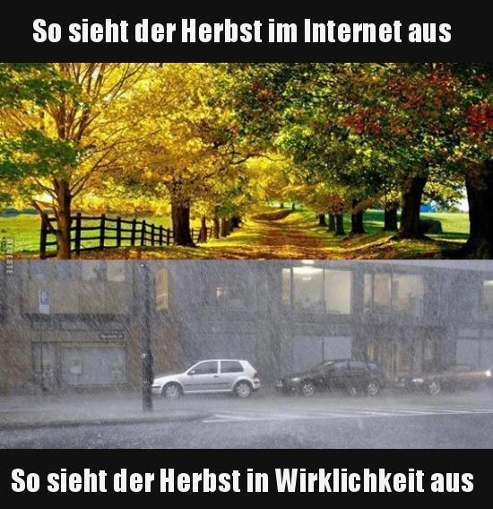 DERESTE
So sieht der Herbst im Internet aus
So sieht der Herbst in Wirklichkeit aus