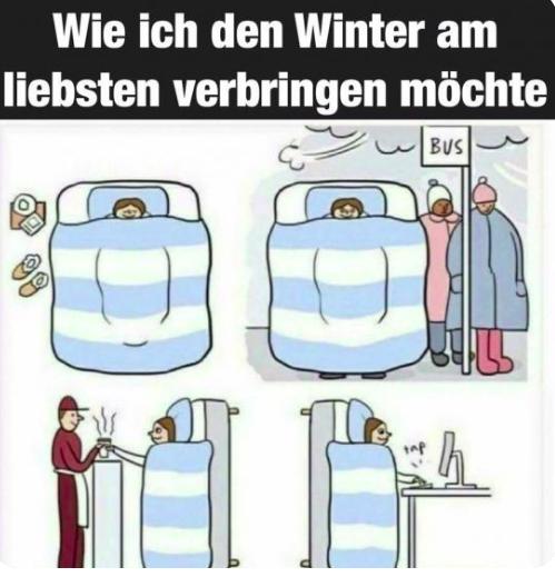 Wie ich den Winter am
liebsten verbringen möchte
BUS
TO
ALS
h