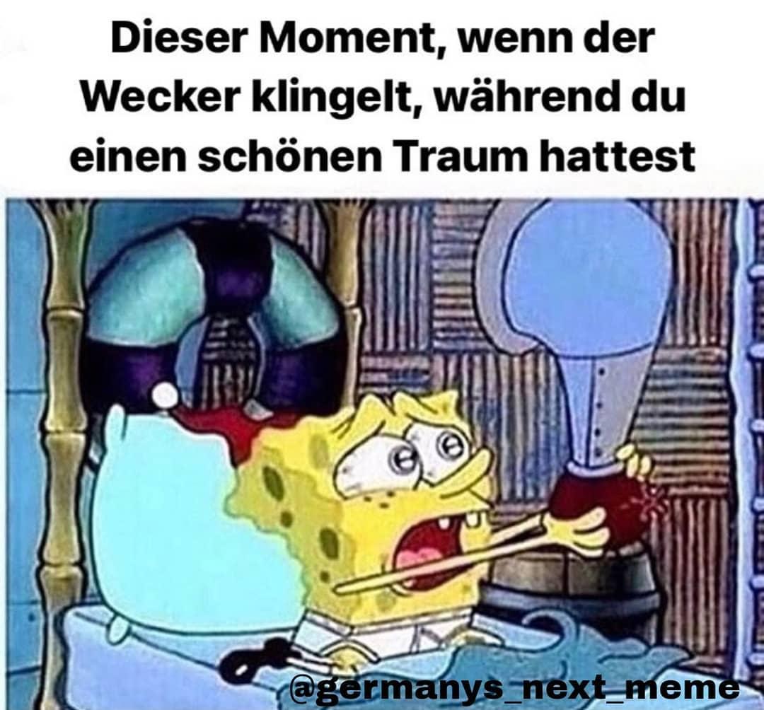 Dieser Moment, wenn der
Wecker klingelt, während du
einen schönen Traum hattest
@germanys next_meme