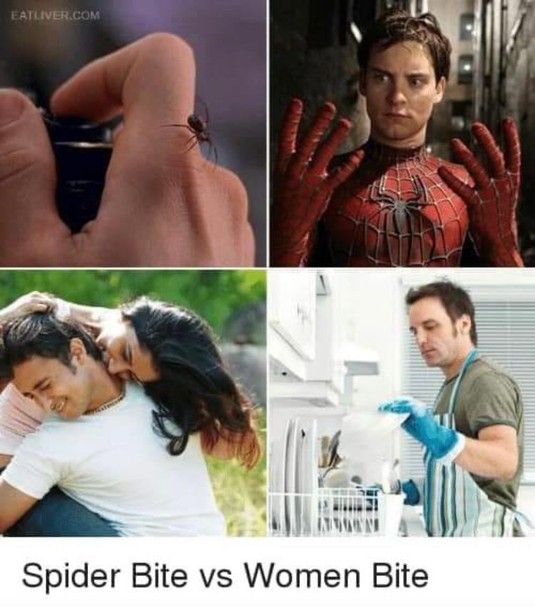 EATLIVER.COM
Spider Bite vs Women Bite