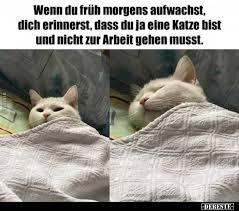 Timme
Wenn du früh morgens aufwachst,
dich erinnerst, dass du ja eine Katze bist
und nicht zur Arbeit gehen musst.
EDERENTIES