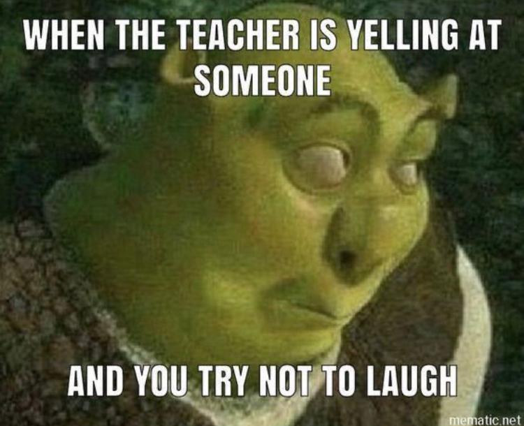 WHEN THE TEACHER IS YELLING AT
SOMEONE
AND YOU TRY NOT TO LAUGH
mematic.net