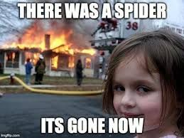 THERE WAS A SPIDER
38
TO
ITS GONE NOW