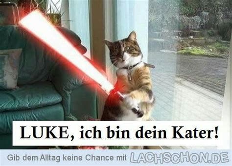 LUKE, ich bin dein Kater!
Gib dem Alltag keine Chance mit LACHSCHON.DE