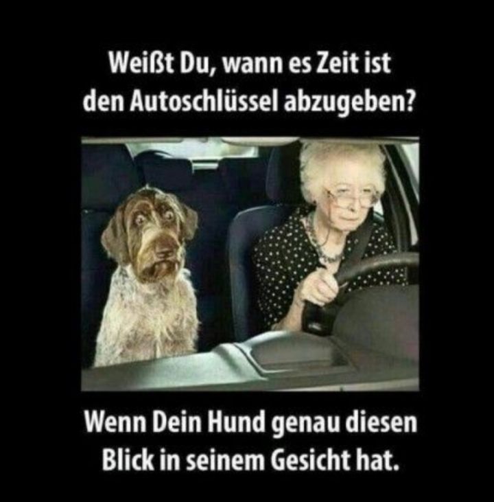 Weißt Du, wann es Zeit ist
den Autoschlüssel abzugeben?
Wenn Dein Hund genau diesen
Blick in seinem Gesicht hat.