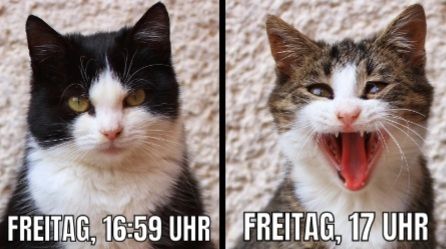 FREITAG, 16:59 UHR FREITAG, 17 UHR