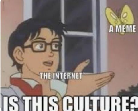 THE INTERNET
A MEME
IS THIS CULTURE?