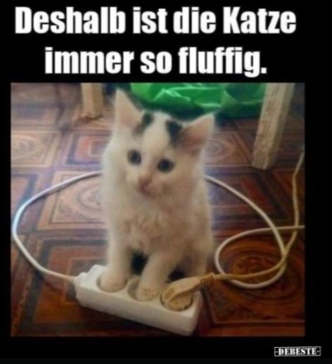 Deshalb ist die Katze
immer so fluffig.
DEBESTE