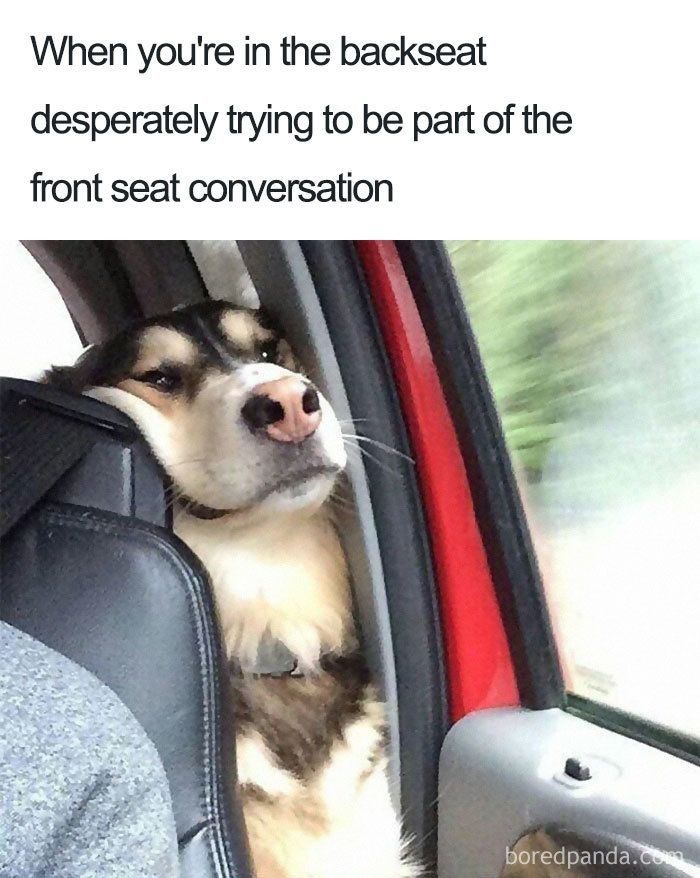 When you're in the backseat
desperately trying to be part of the
front seat conversation
boredpanda.com