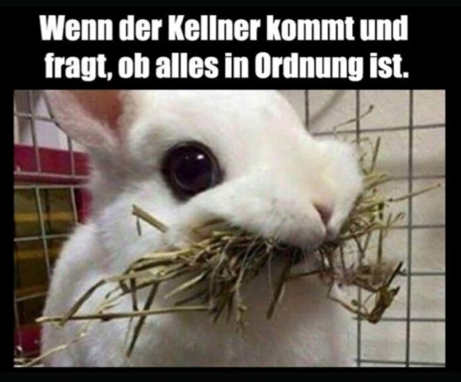 Wenn der Kellner kommt und
fragt, ob alles in Ordnung ist.