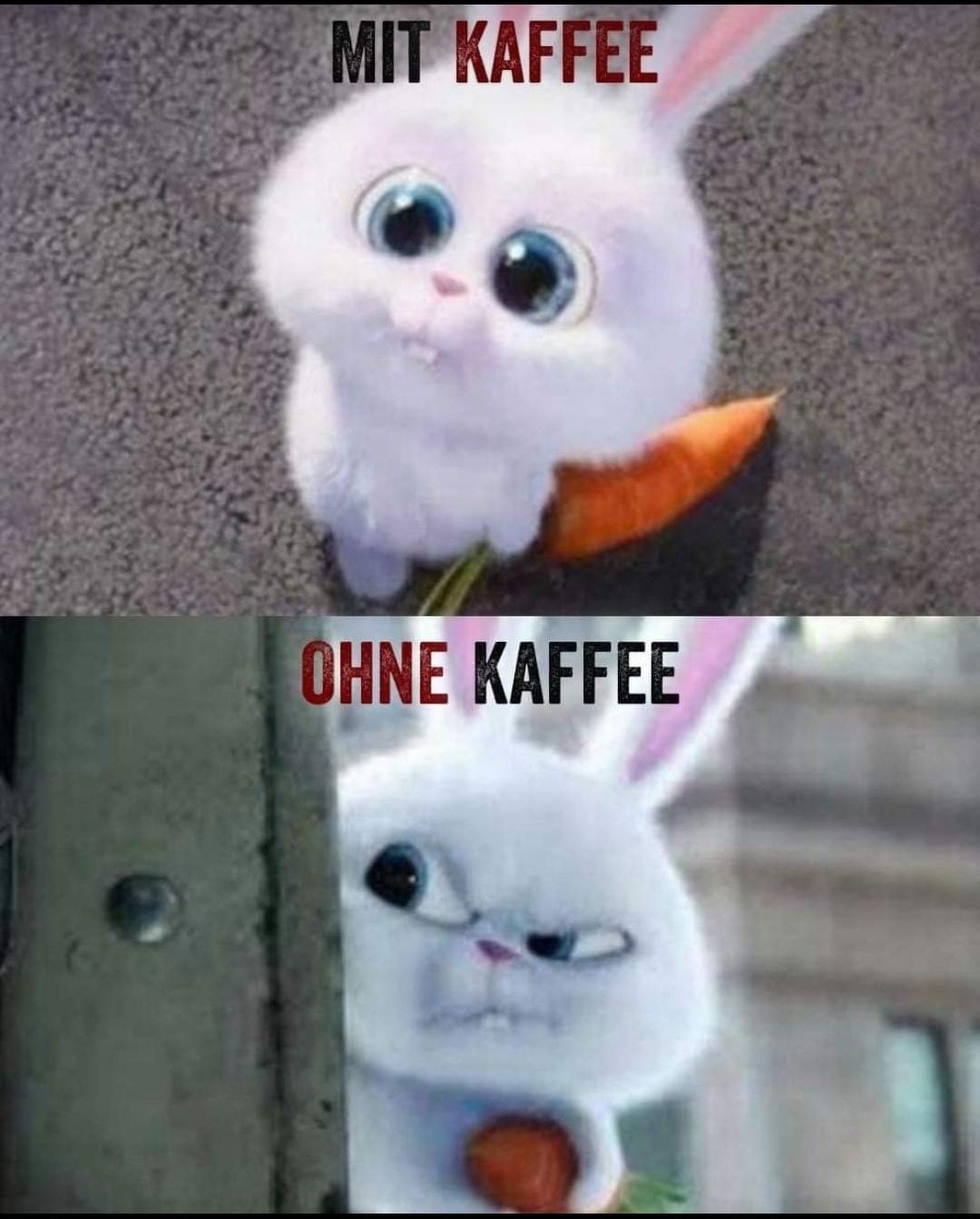 MIT KAFFEE
OHNE KAFFEE