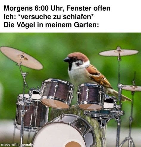 Morgens 6:00 Uhr, Fenster offen
Ich: *versuche zu schlafen*
Die Vögel in meinem Garten:
made with mematic