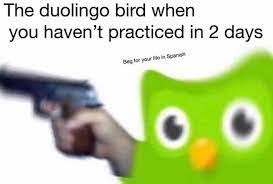 The duolingo bird when
you haven't practiced in 2 days
for your