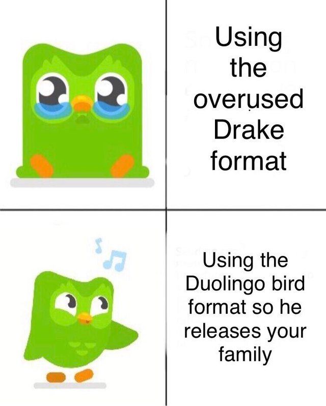 Using
the
overused
Drake
format
Using the
Duolingo bird
format so he
releases your
family