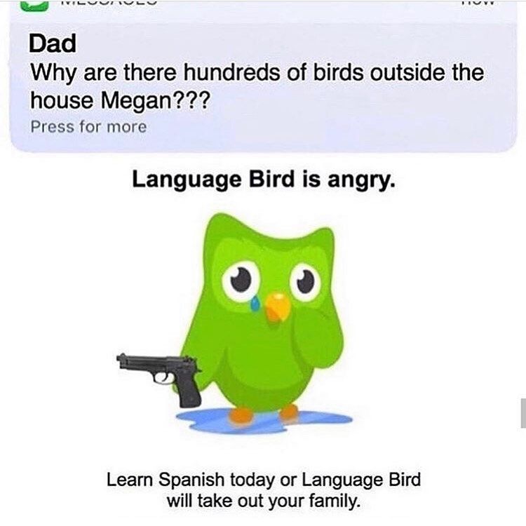 Dad
Why are there hundreds of birds outside the
house Megan???
Press for more
Language Bird is angry.
Learn Spanish today or Language Bird
will take out your family.