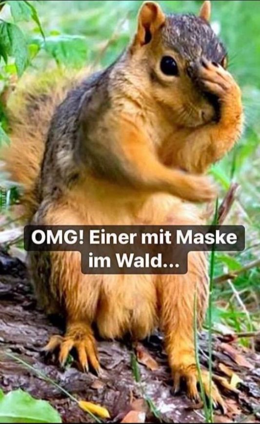 OMG! Einer mit Maske
im Wald...