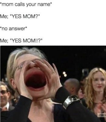 *mom calls your name*
Me; "YES MOM?"
*no answer*
Me; "YES MOM!!?"
SAGA