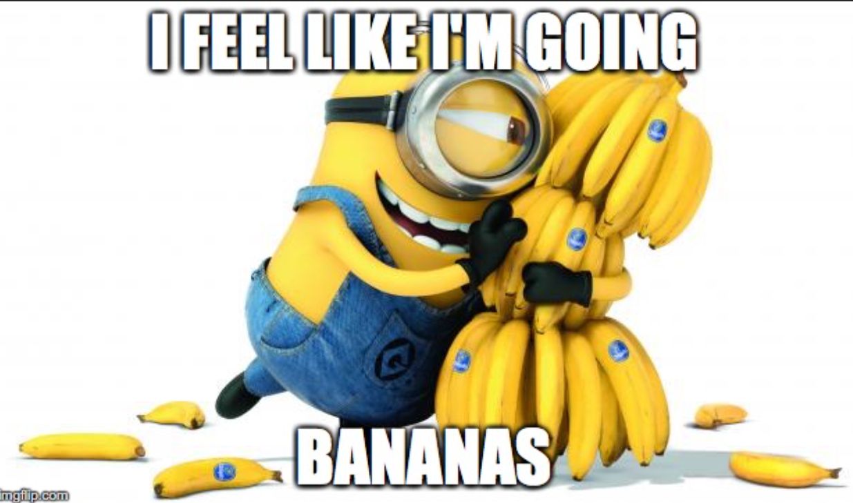 mgflip.com
I FEEL LIKE I'M GOING
BANANAS