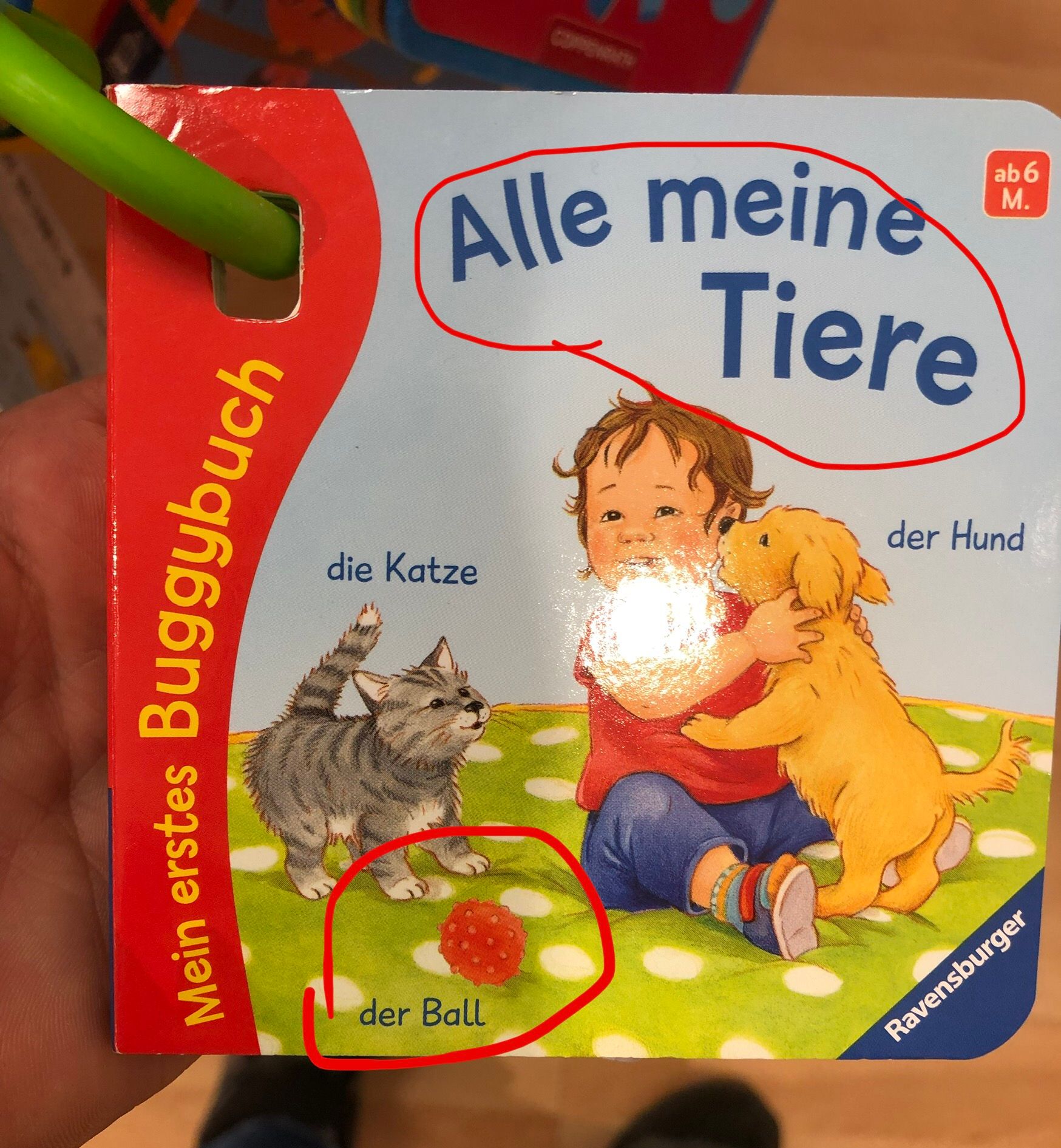 Mein erstes Buggybuch
(Alle meine
Tiere
die Katze
der Ball
ab 6
M.
der Hund
Ravensburger